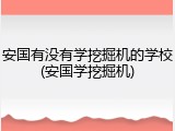安国有没有学挖掘机的学校(安国学挖掘机)