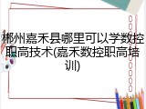 郴州嘉禾县哪里可以学数控职高技术(嘉禾数控职高培训)