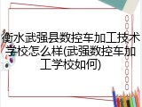 衡水武强县数控车加工技术学校怎么样(武强数控车加工学校如何)