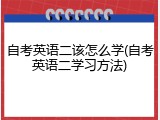自考英语二该怎么学(自考英语二学习方法)