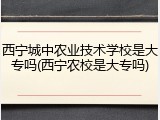 西宁城中农业技术学校是大专吗(西宁农校是大专吗)