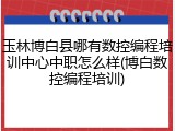 玉林博白县哪有数控编程培训中心中职怎么样(博白数控编程培训)
