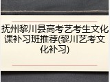 抚州黎川县高考艺考生文化课补习班推荐(黎川艺考文化补习)