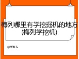 梅列哪里有学挖掘机的地方(梅列学挖机)
