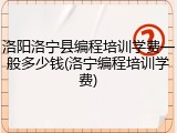 洛阳洛宁县编程培训学费一般多少钱(洛宁编程培训学费)