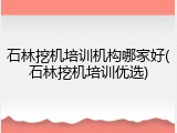 石林挖机培训机构哪家好(石林挖机培训优选)