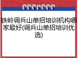 铁岭调兵山单招培训机构哪家最好(调兵山单招培训优选)