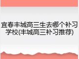 宜春丰城高三生去哪个补习学校(丰城高三补习推荐)