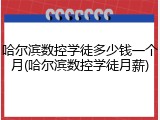 哈尔滨数控学徒多少钱一个月(哈尔滨数控学徒月薪)