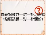 宜春铜鼓县一对一补习班价格(铜鼓县一对一补课价)