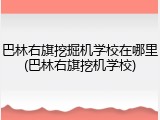 巴林右旗挖掘机学校在哪里(巴林右旗挖机学校)