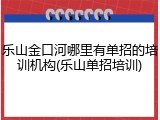 乐山金口河哪里有单招的培训机构(乐山单招培训)