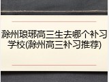 滁州琅琊高三生去哪个补习学校(滁州高三补习推荐)