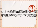 安庆宿松县单招培训机构哪家最好(宿松单招培训优选)