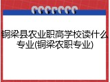 铜梁县农业职高学校读什么专业(铜梁农职专业)