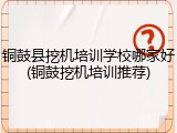 铜鼓县挖机培训学校哪家好(铜鼓挖机培训推荐)