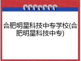 合肥明星科技中专学校(合肥明星科技中专)