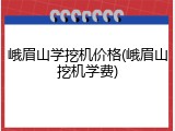 峨眉山学挖机价格(峨眉山挖机学费)
