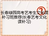 长春绿园高考艺考生文化课补习班推荐(长春艺考文化课补习)