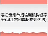 湛江雷州单招培训机构哪家好(湛江雷州单招培训优选)