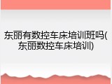 东丽有数控车床培训班吗(东丽数控车床培训)