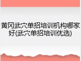 黄冈武穴单招培训机构哪家好(武穴单招培训优选)