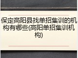 保定高阳县找单招集训的机构有哪些(高阳单招集训机构)