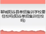 聊城阳谷县单招集训学校要住校吗(阳谷单招集训住校吗)