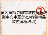黄冈黄梅县哪有数控编程培训中心中职怎么样(黄梅县数控编程培训)