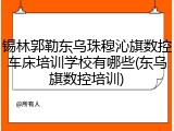 锡林郭勒东乌珠穆沁旗数控车床培训学校有哪些(东乌旗数控培训)