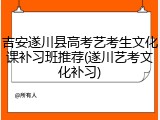 吉安遂川县高考艺考生文化课补习班推荐(遂川艺考文化补习)