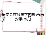 乐安县在哪里学挖机好(乐安学挖机)