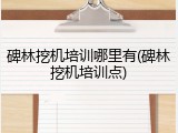 碑林挖机培训哪里有(碑林挖机培训点)