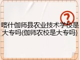 喀什伽师县农业技术学校是大专吗(伽师农校是大专吗)