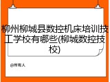 柳州柳城县数控机床培训技工学校有哪些(柳城数控技校)