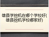 雄县学挖机在哪个学校好(雄县挖机学校哪家好)