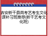 吉安新干县高考艺考生文化课补习班推荐(新干艺考文化班)