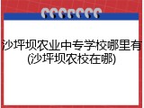沙坪坝农业中专学校哪里有(沙坪坝农校在哪)