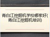 青白江挖掘机学校哪家好(青白江挖掘机培训)