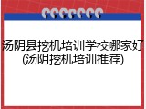 汤阴县挖机培训学校哪家好(汤阴挖机培训推荐)
