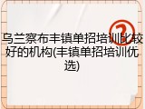 乌兰察布丰镇单招培训比较好的机构(丰镇单招培训优选)