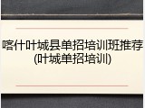 喀什叶城县单招培训班推荐(叶城单招培训)