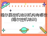 噶尔县挖机培训机构有哪些(噶尔挖机培训)