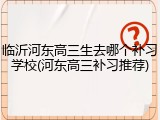 临沂河东高三生去哪个补习学校(河东高三补习推荐)