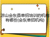 凉山会东县单招培训的机构有哪些(会东单招机构)