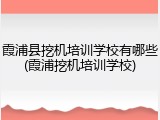 霞浦县挖机培训学校有哪些(霞浦挖机培训学校)