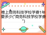 唯上商务科技学校学费1年要多少("商务科技学校学费")