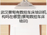 武汉蔡甸有数控车床培训机构吗在哪里(蔡甸数控车床培训)