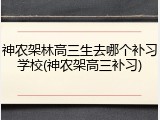神农架林高三生去哪个补习学校(神农架高三补习)