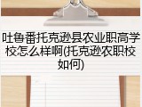 吐鲁番托克逊县农业职高学校怎么样啊(托克逊农职校如何)